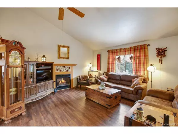 Woodland Park, CO 80863,411 W Bowman