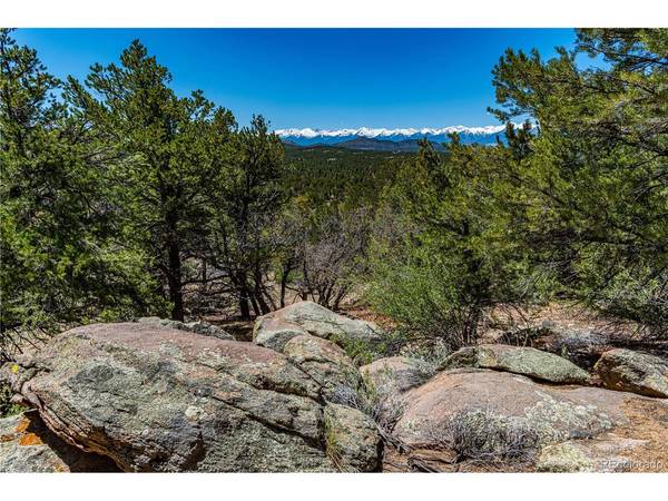 17 White Wing, Cotopaxi, CO 81223
