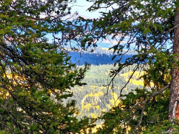 387 El Lobo, Fairplay, CO 80440