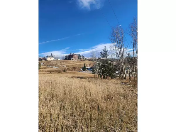 Cripple Creek, CO 80813,20 Placer