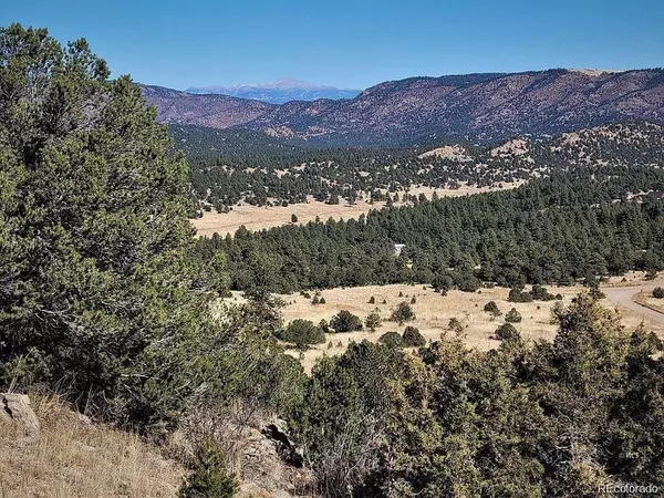 211 Little Horn, Westcliffe, CO 81252