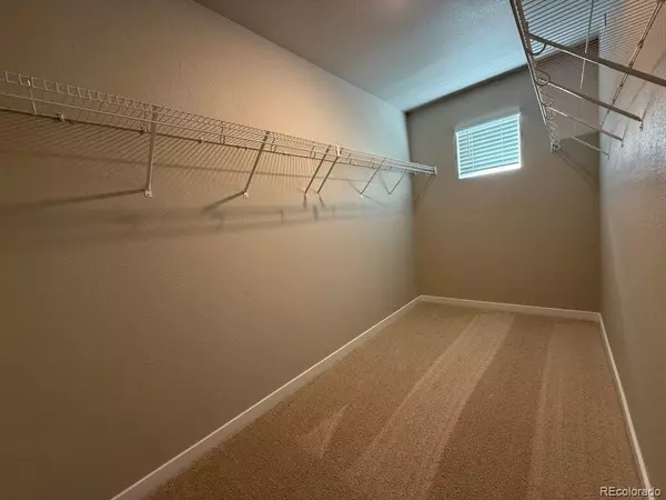 Bennett, CO 80102,48235 Shetland