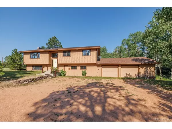 171 Broken Wagon, Woodland Park, CO 80863