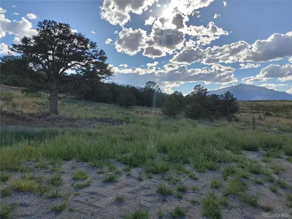 Nathrop, CO 81236,11014 Arrowhead