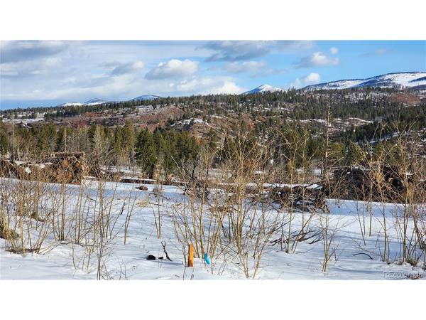 695 Cogbill, Fort Garland, CO 81133