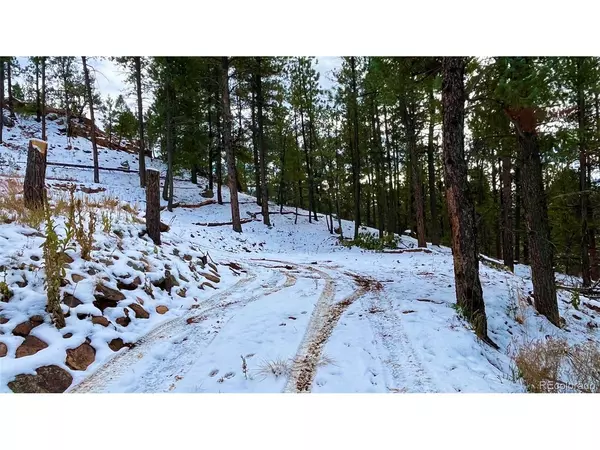 Woodland Park, CO 80863,15126 N Pine Lake