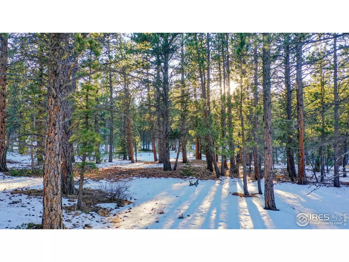 Lyons, CO 80540,357 Big John