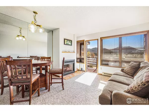 1776 Olympian #C, Estes Park, CO 80517