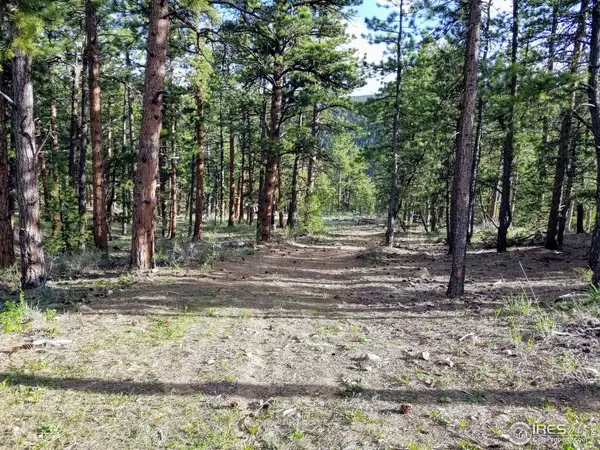 49 Pine, Lyons, CO 80540