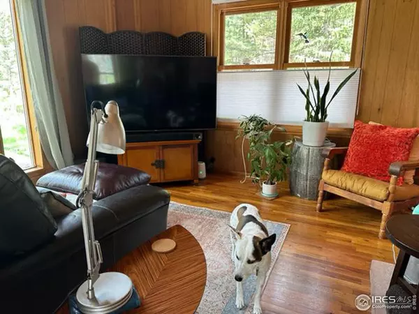 Lyons, CO 80540,702 Riverside