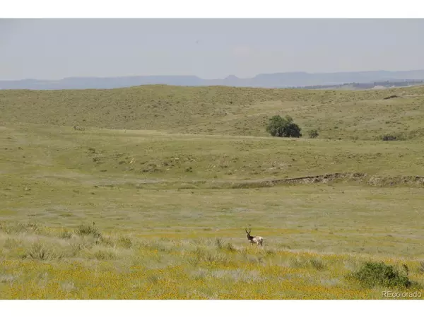 Deer Trail, CO 80105,Parcel A Amethyst