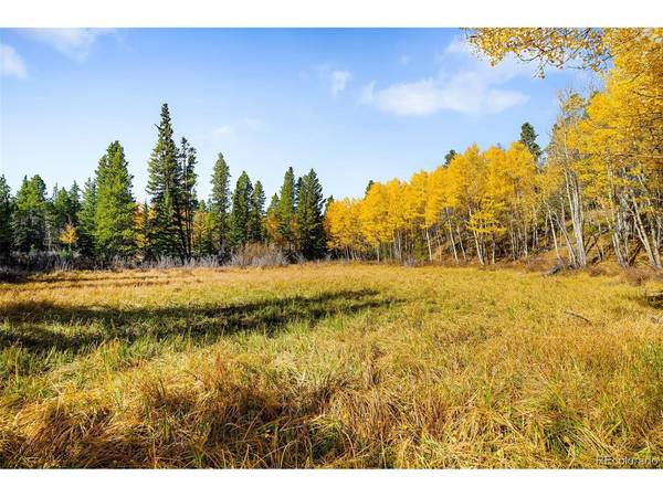 30 Serenity, Fairplay, CO 80440