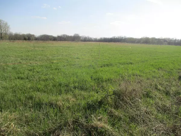 Kirksville, MO 63501,1105 Walnut