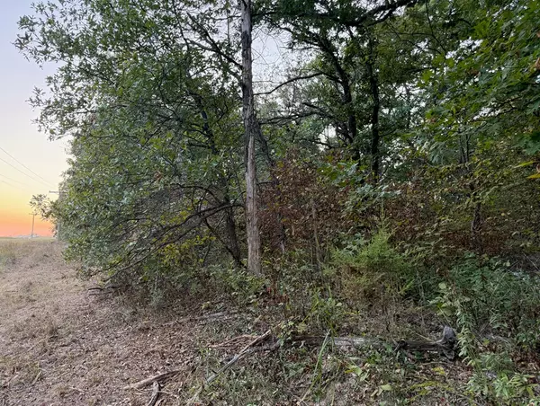 Greentop, MO 63546,0000 Redbud