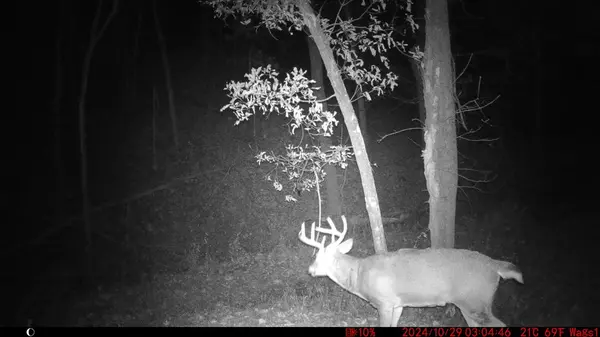 Unionville, MO 63565,N/A N/A