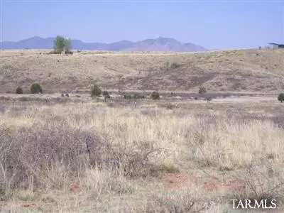 Sonoita, AZ 85637,8 Pinto