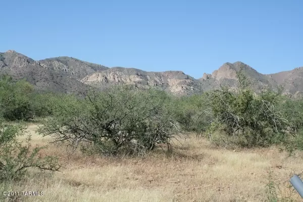 Tubac, AZ 85646,Rock Canyon  #0