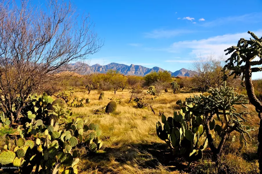 13712 N Old Forest Trail #92, Oro Valley, AZ 85755