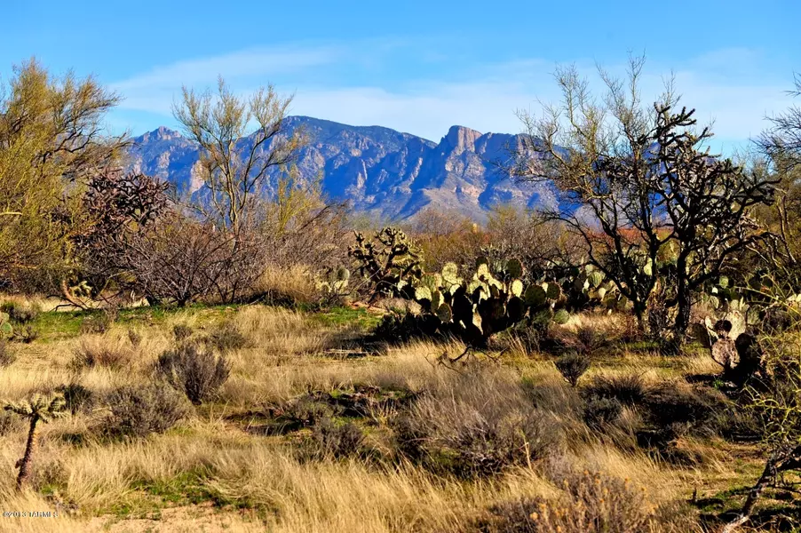 13781 N Old Forest Trail #102, Oro Valley, AZ 85755