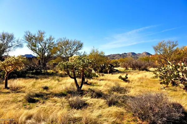 Oro Valley, AZ 85755,13781 N Old Forest Trail #102