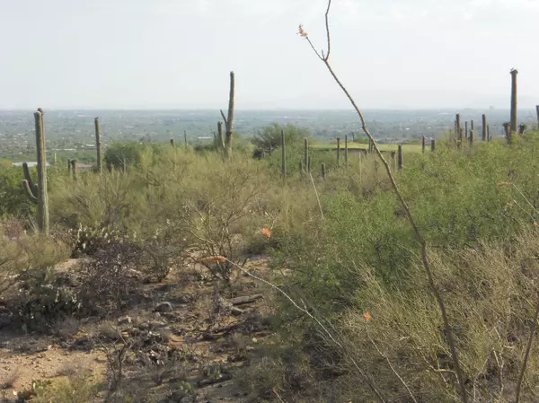 9930 E Sabino Estates Drive, Tucson, AZ 85749