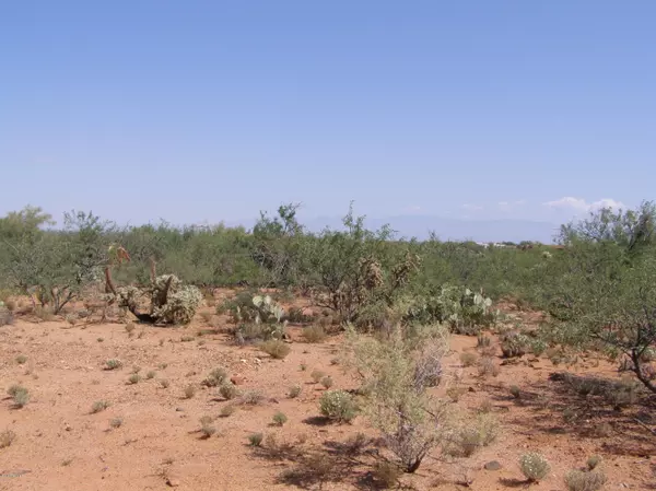 Vail, AZ 85641,16454 S Sycamore Hollow Trail