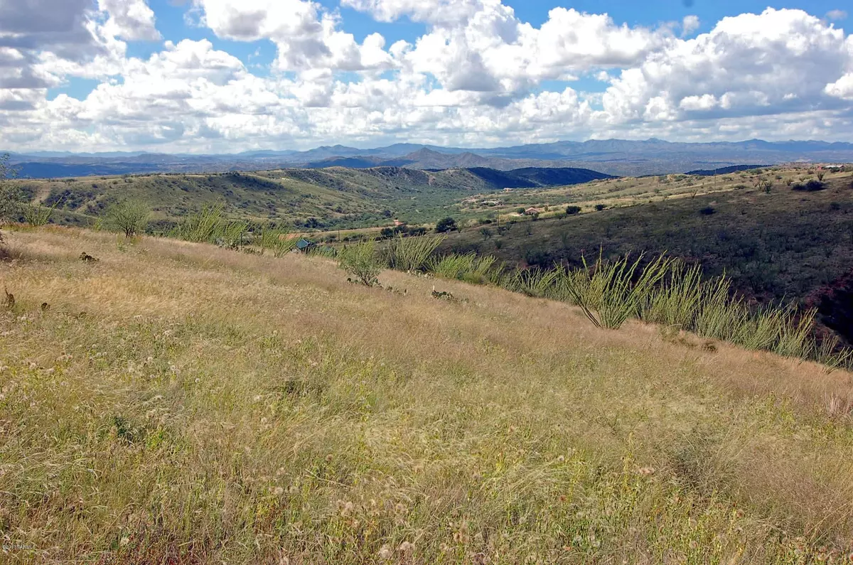 Patagonia, AZ 85624,8 Rosete Court