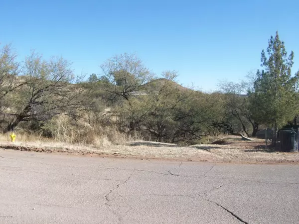 Rio Rico, AZ 85648,1215 Avenida Gloriosa