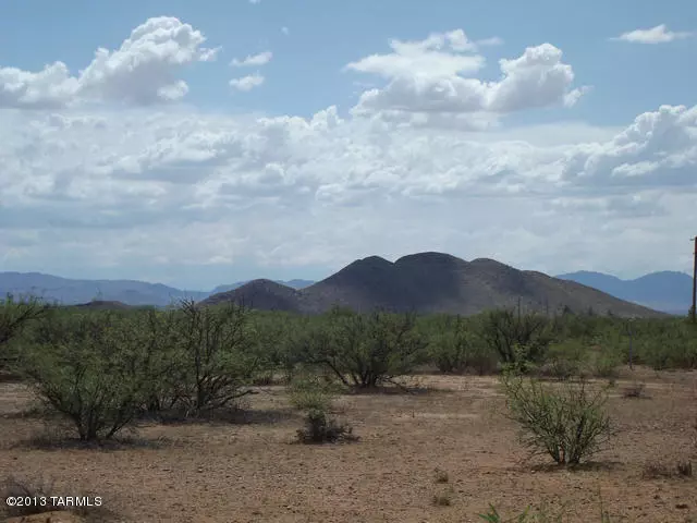 Pearce, AZ 85625,LYDY Avenue