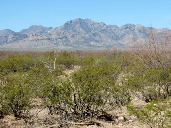 San Simon, AZ 85632,520 acres east of Noland Road