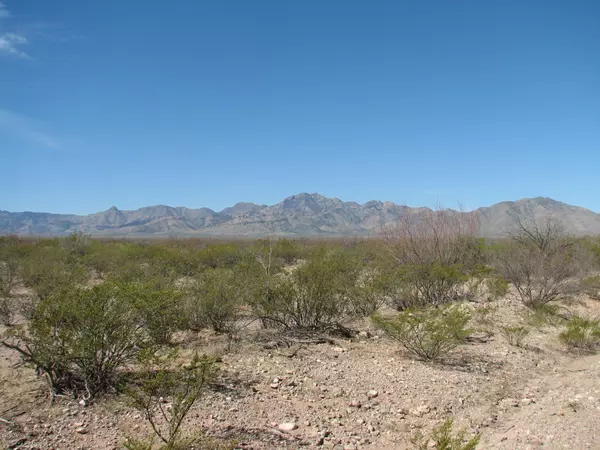 San Simon, AZ 85632,520 acres east of Noland Road