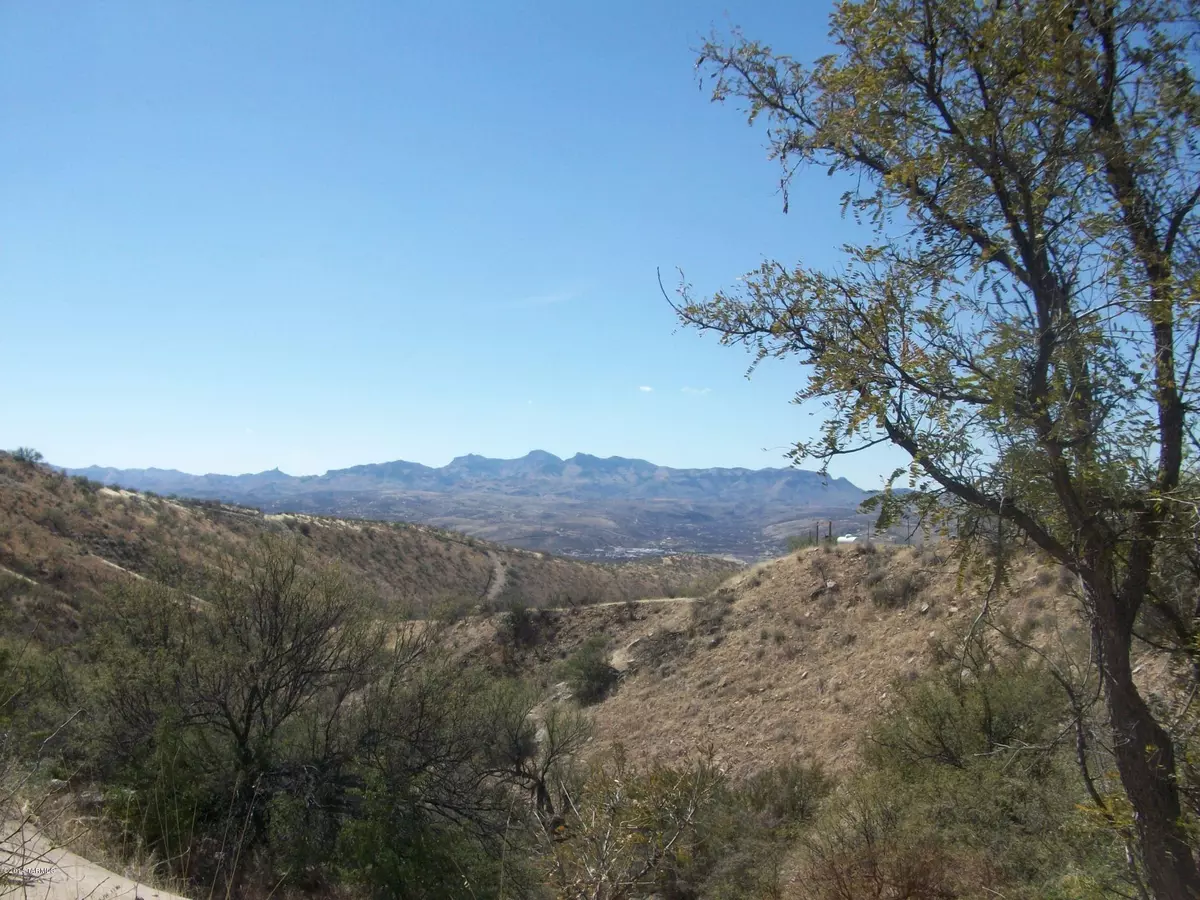 Rio Rico, AZ 85648,1415 Via San Cayetano