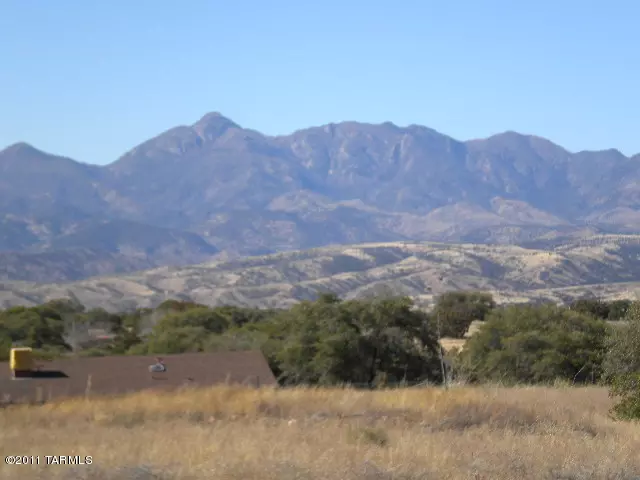 Sonoita, AZ 85637,58 Collie S Drive #44