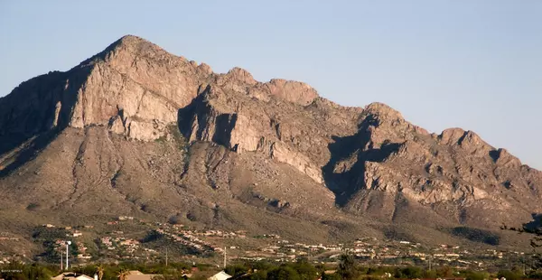 Oro Valley, AZ 85755,12638 N Vistoso View Place