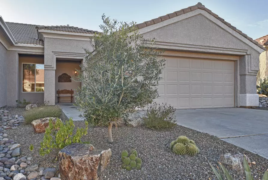 12985 N Desert Flora, Marana, AZ 85658