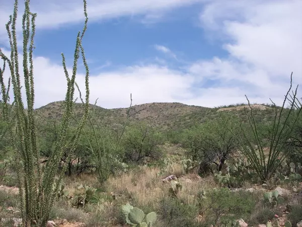 Vail, AZ 85641,Gila Monster Way #0