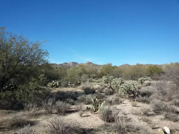 Oro Valley, AZ 85755,1225 W Weathered Stone Place #117