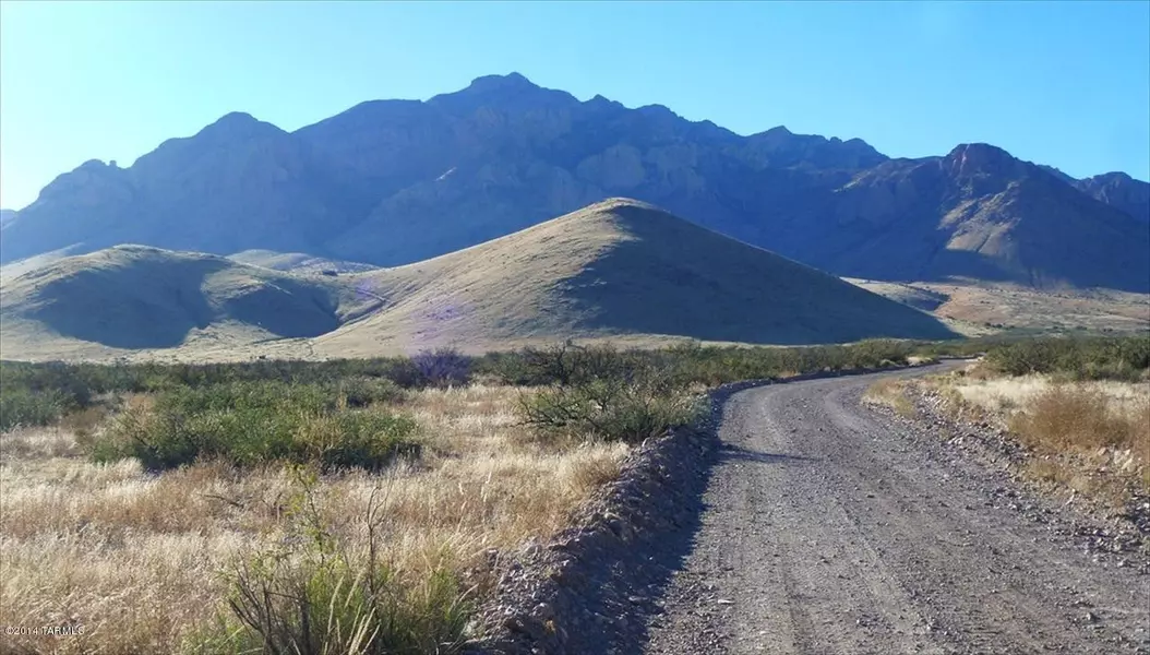 43 acres W Sanford Road, Portal, AZ 85632