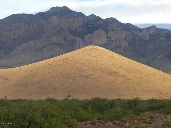 Portal, AZ 85632,43 acres W Sanford Road