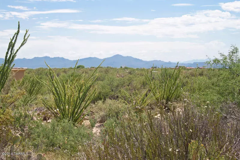 875 W Tortolita Mountain Circle #128, Oro Valley, AZ 85755