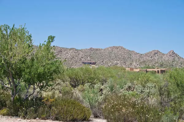 Oro Valley, AZ 85755,875 W Tortolita Mountain Circle #128