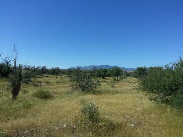 Benson, AZ 85602,N San Pedro Ranch Road #24