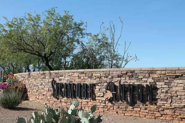 Vail, AZ 85641,9439 E Avellanet Lane