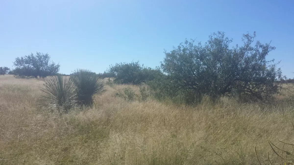 St. David, AZ 85630,Lot 45 E Horse Ranch  #45