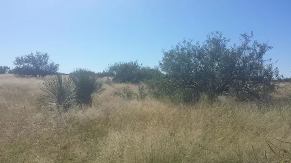 Lot 45 E Horse Ranch  #45, St. David, AZ 85630