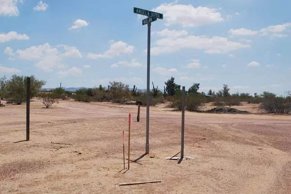 Marana, AZ 85653,36038 S Angela Vista