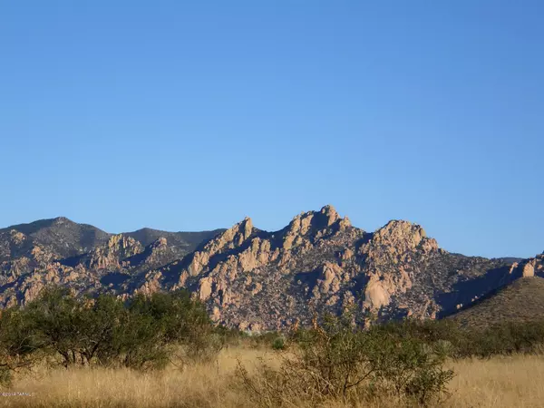 Lot 160 E Diamondback Road, St. David, AZ 85630