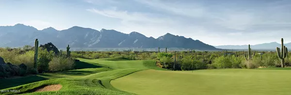 Oro Valley, AZ 85755,14572 N Shaded Stone Place #239