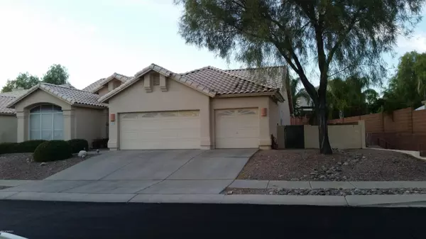 11311 N Silver Pheasant Loop, Tucson, AZ 85737