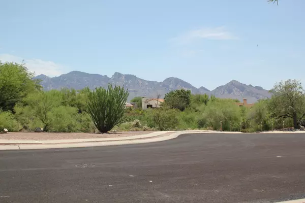 Oro Valley, AZ 85755,12751 N Meadview Way